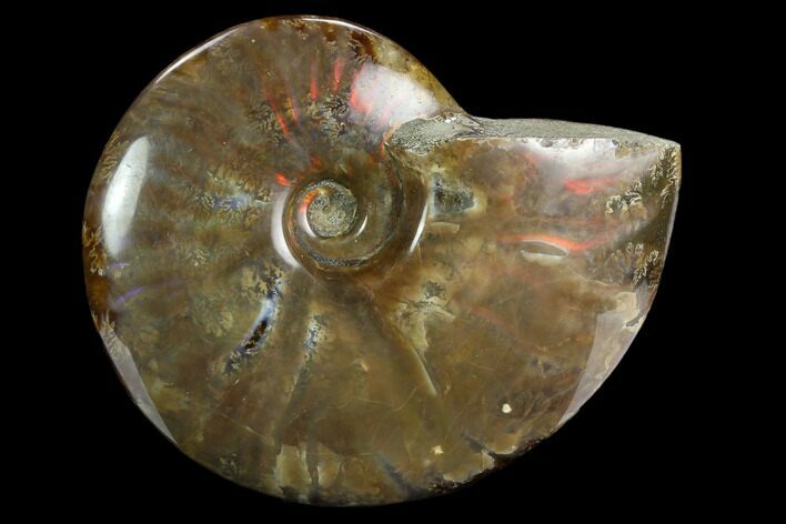 Flashy Red Iridescent Ammonite - Wide #127907